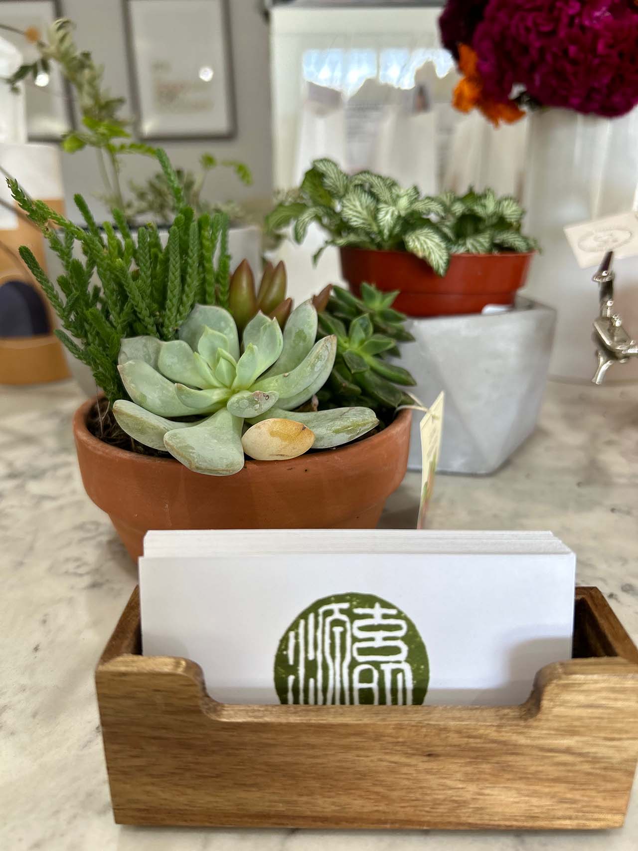 Dr Heather Hyun business cards next to succulent plant